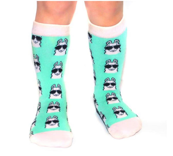 Chatter Sox - No Drama Llama