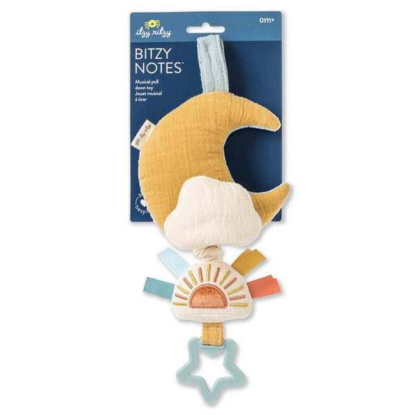 Bitzy Notes Musical Pull-Down Toy-Cloud/Sun